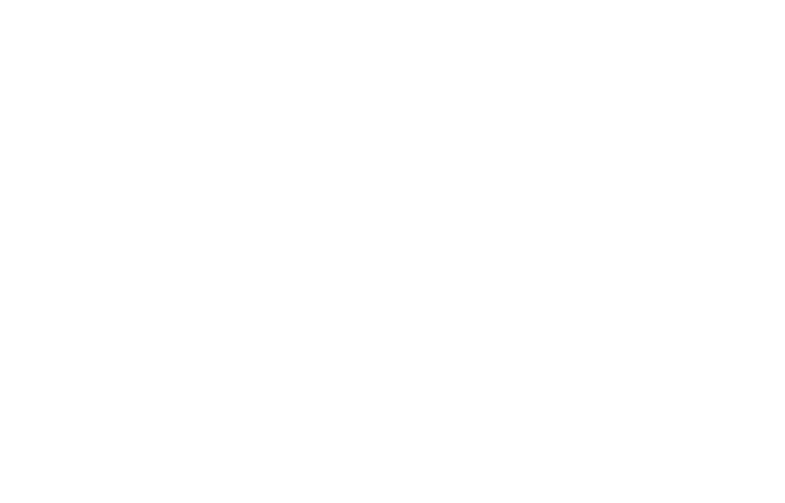 Allen Haan